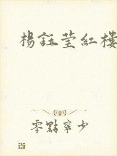 杨钰莹红楼