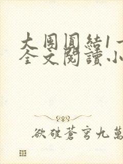 大团圆结1一6全文阅读小说