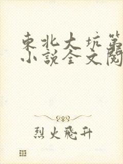 东北大坑第二部小说全文阅读封面