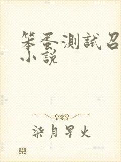 笨蛋测试召唤兽小说封面