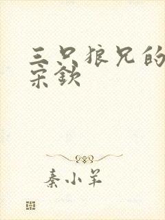 三只狼兄的宠妻宋钦封面