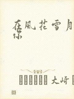 在风花雪月里等你