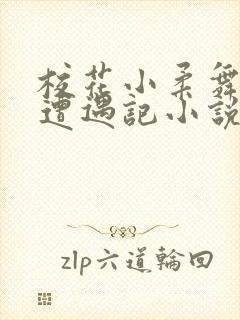 校花小柔舞蹈室遭遇记小说