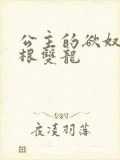 公主的欲奴h四根双龙