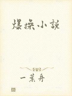 爆操小说