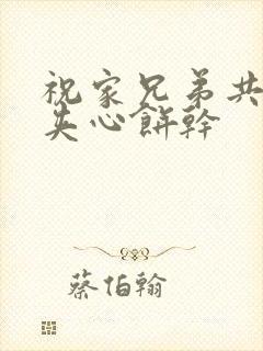 祝家兄弟共享后夹心饼干封面