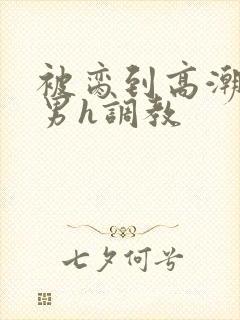 被脔到高潮的直男h调教