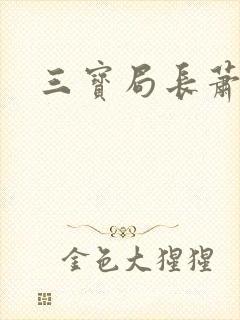 三宝局长萧燕封面