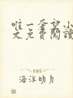 唯一奢望小说全文免费阅读