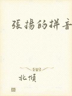 张扬的拼音封面