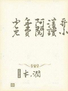 少年阿滨哥全文免费阅读小说封面