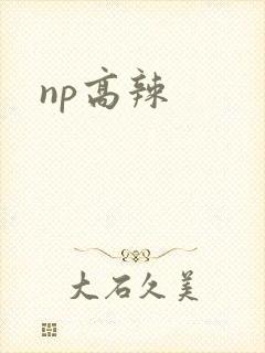 np高辣