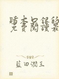 赌木口银的小说免费阅读最新封面