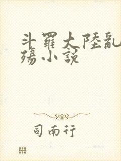 斗罗大陆乱世浮殇小说封面