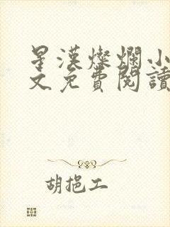 星汉灿烂小说全文免费阅读封面