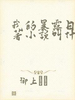 我的暴露日记原著小说叫什么