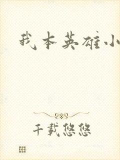 我本英雄小说