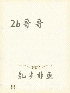 2b哥哥