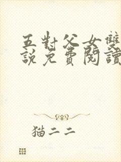 五对父女双飞小说免费阅读封面