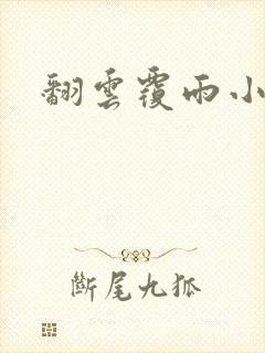 翻云覆雨小说封面