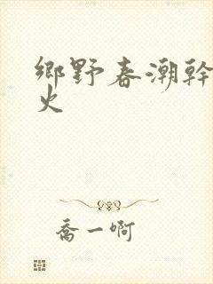 乡野春潮干柴烈火封面