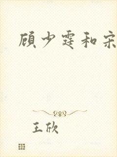 顾少霆和宋斯曼