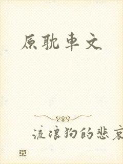 原耽车文