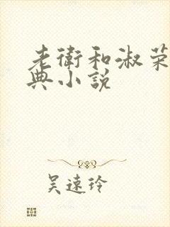 老卫和淑荣的经典小说