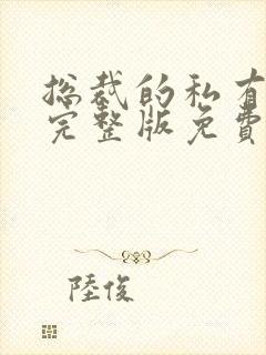 总裁的私有宝贝完整版免费阅读