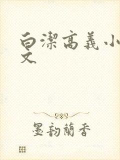 白洁高义小说全文