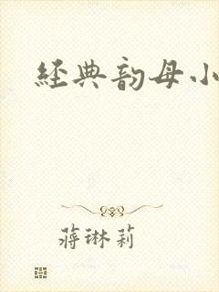 经典韵母小说封面