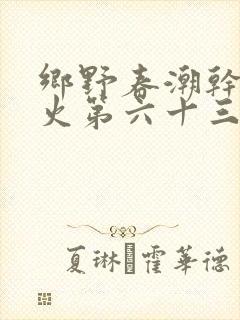 乡野春潮干柴烈火第六十三章