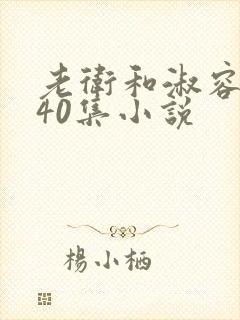 老卫和淑容1-40集小说封面