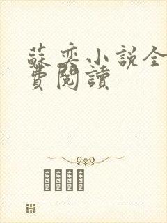 苏奕小说全文免费阅读