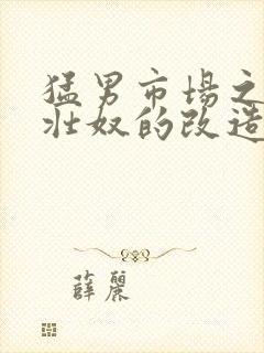 猛男市场之肌肉壮奴的改造封面