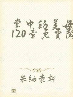 掌中的美母版主120章免费阅读