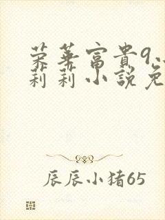 荣华富贵9小王莉莉小说免费阅读