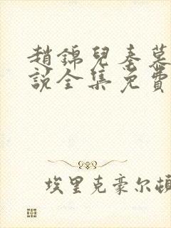 赵锦儿秦慕修小说全集免费封面