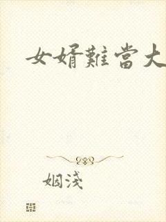 女婿难当大结局封面