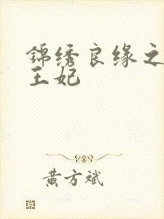 锦绣良缘之北地王妃封面