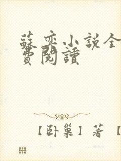 苏奕小说全文免费阅读封面