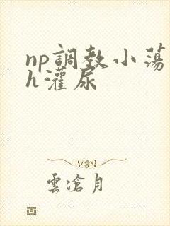 np调教小荡货h灌尿封面