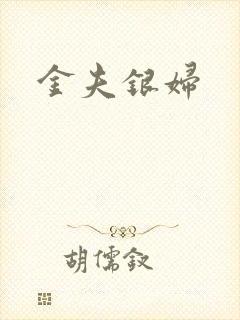 金夫银妇封面