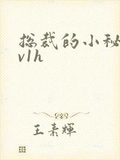 总裁的小秘书1v1h