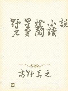 野星灯小说全文免费阅读