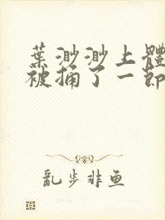 叶渺渺上体育课被捅了一节课封面