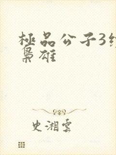 极品公子3续世枭雄