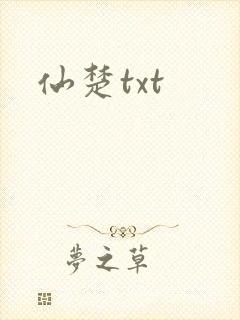 仙楚txt封面