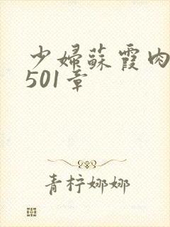 少妇苏霞肉欲第501章