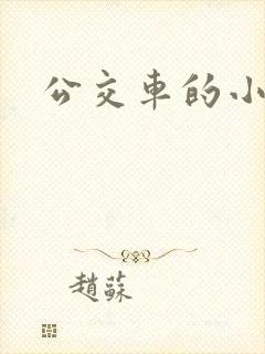 公交车的小说封面